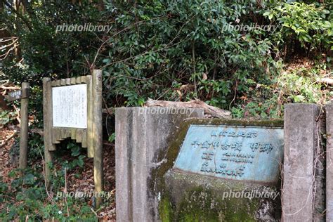 千金甲古墳|千金甲古墳（甲号）の検索結果 文化遺産オンライン